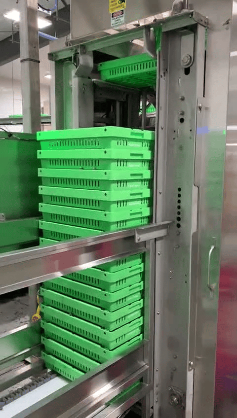 Andgar Food Processing Equipment Automatic Flat Stacker
